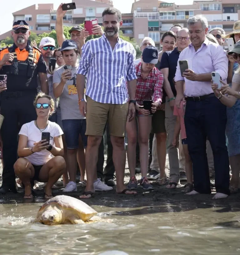 La Junta devuelve al mar otra tortuga boba recuperada, la décima en este año La Junta devuelve al mar otra tortuga boba recuperada, la décima en este año