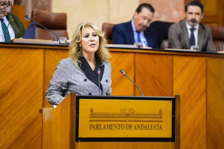 El Parlamento convalida el Decreto ley para adelantar el pago de las ayudas por la DANA El Parlamento convalida el Decreto ley para adelantar el pago de las ayudas por la DANA